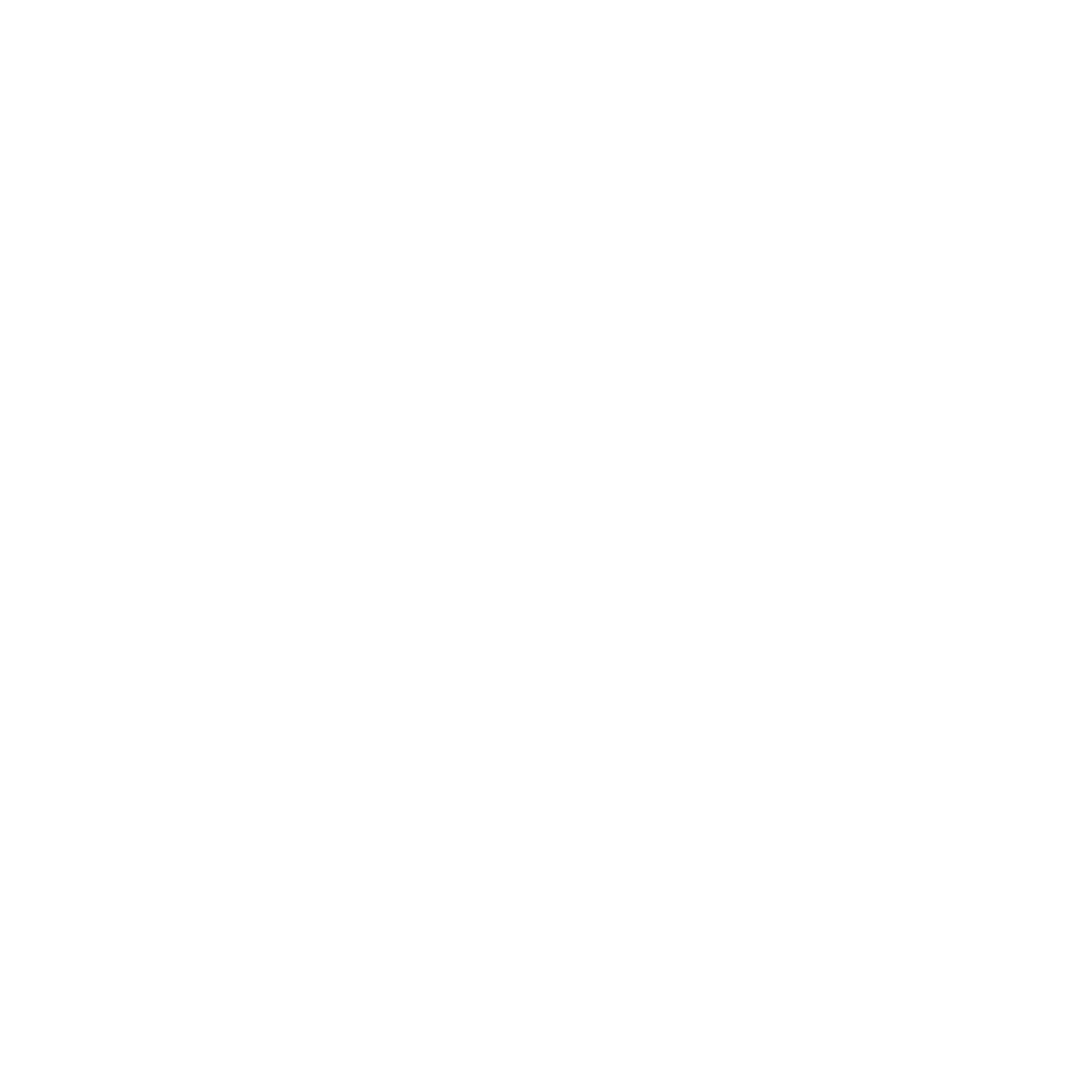 RovySec Logo