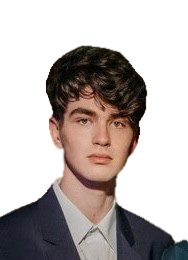 Calin Mihai Armeanu